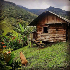 Ecocabaña Con Hermosa Vista En Pijao Quindio